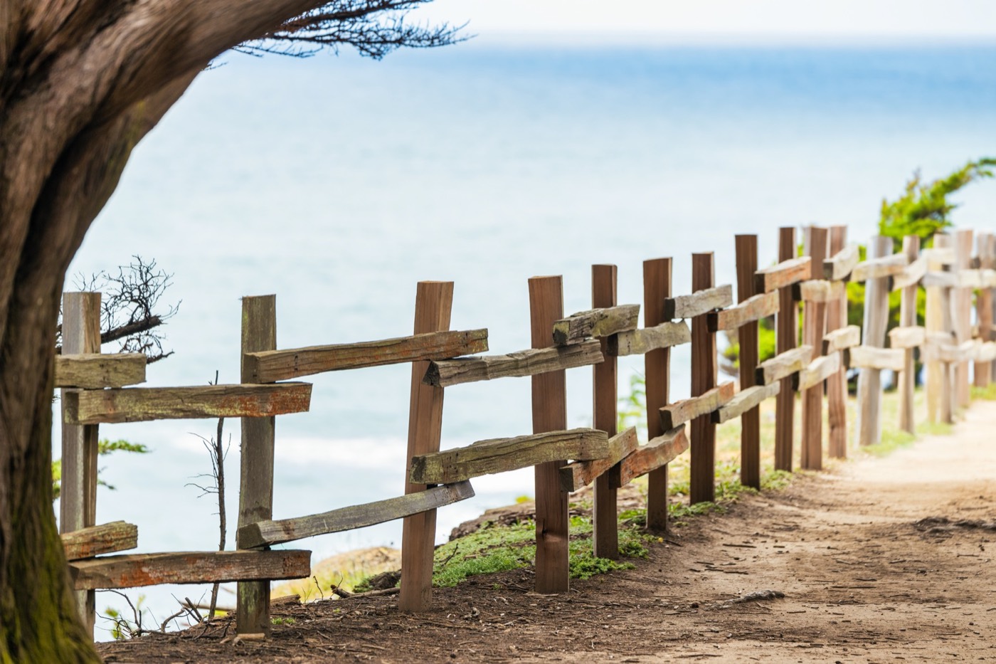 Coastal Path by the Sea