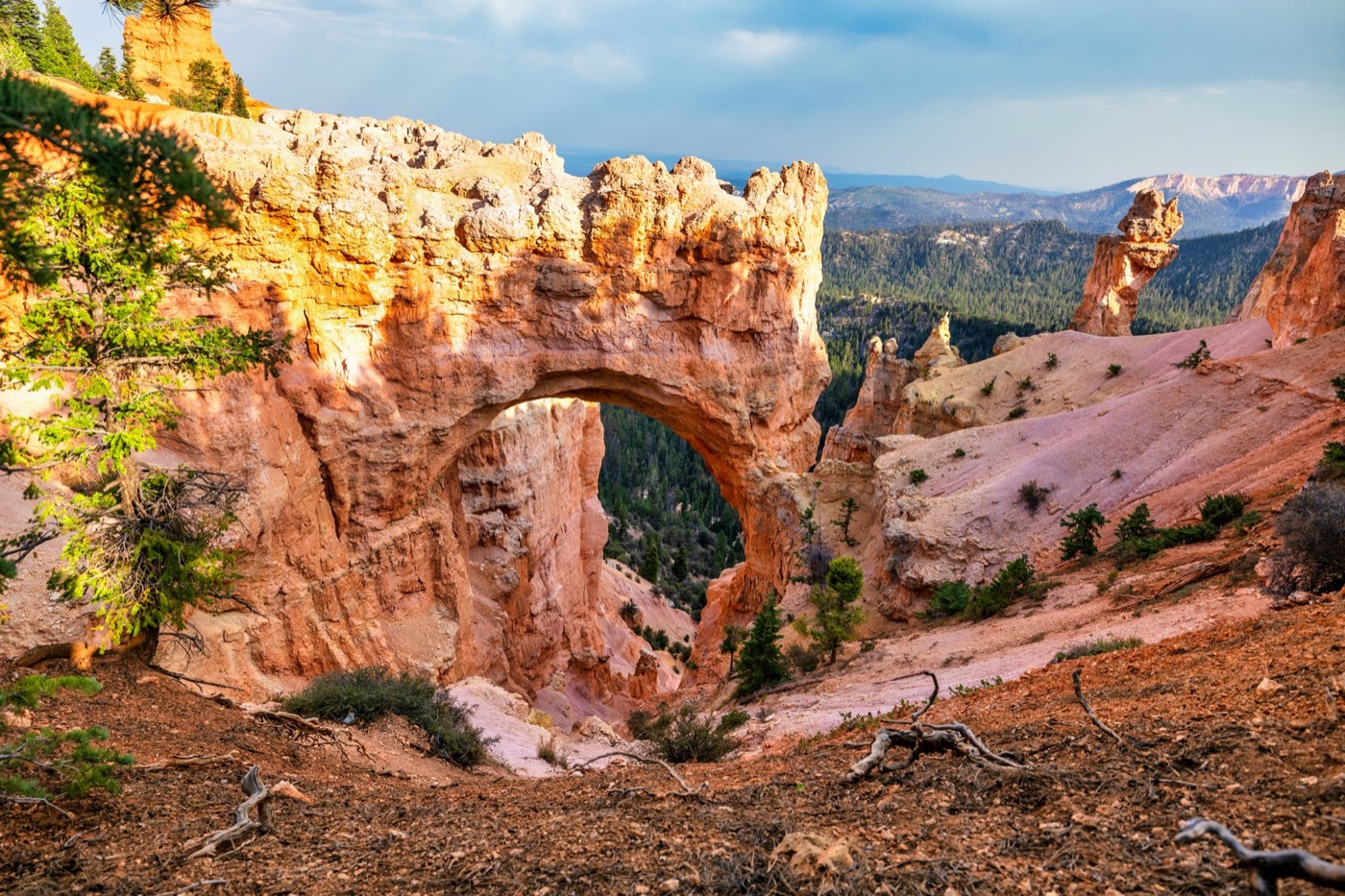 Desert Stone Arch