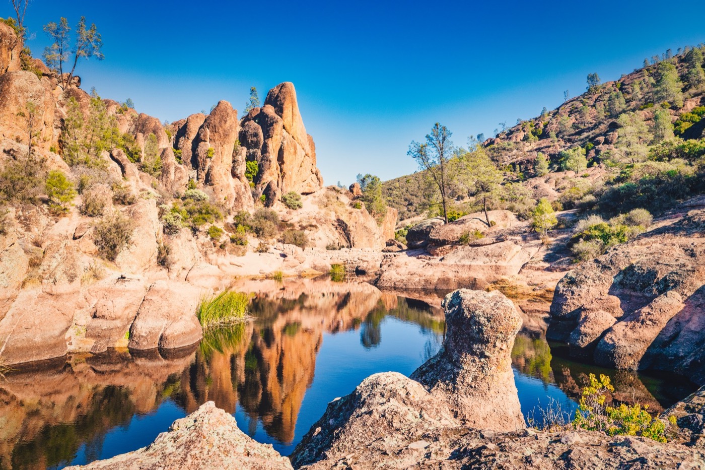 Reservoir Mirror at Pinnacles