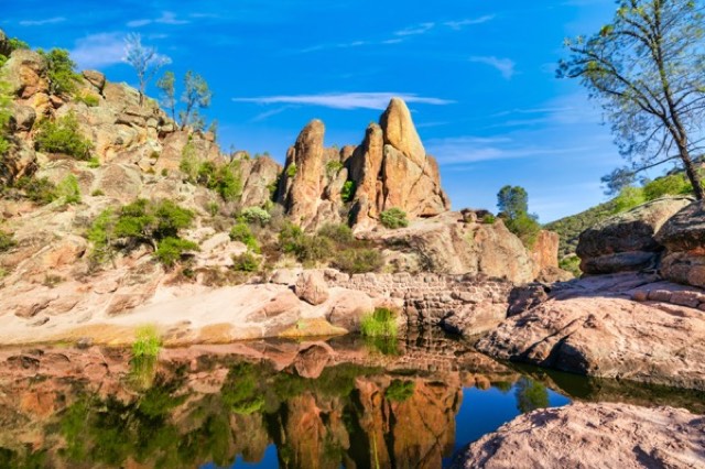 Bear Gulch Reflection