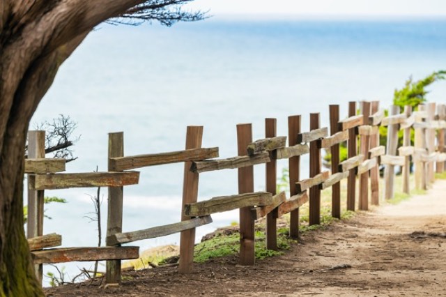 Coastal Path by the Sea