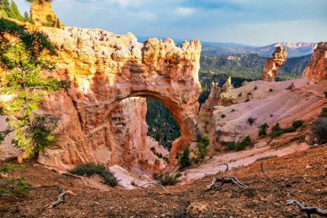 Desert Stone Arch