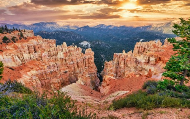 Hoodoos at Golden Hour
