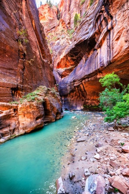 Light Within the Canyon