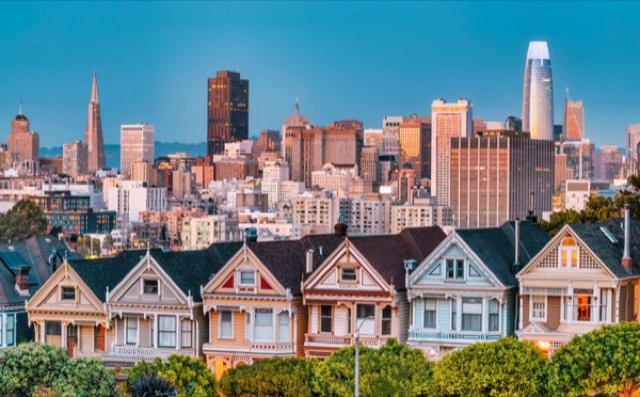 Painted Ladies at Twilight