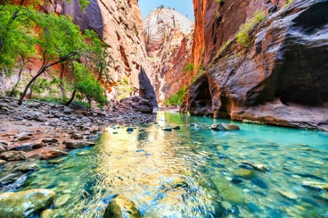 River Through Red Canyon